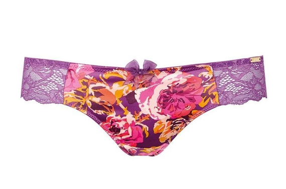 Botanical 5126 Gossard stringi