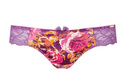 Botanical 5126 Gossard stringi