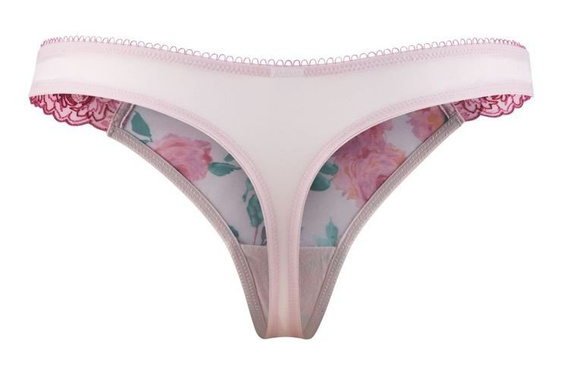 Ellis 7219 Cleo stringi