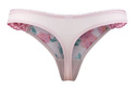 Ellis 7219 Cleo stringi