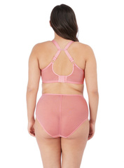 Matilda 8906 Elomi figi rose