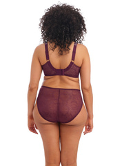 Lucie 4490 Elomi biustonosz mambo