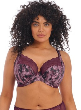 Lucie 4490 Elomi biustonosz mambo