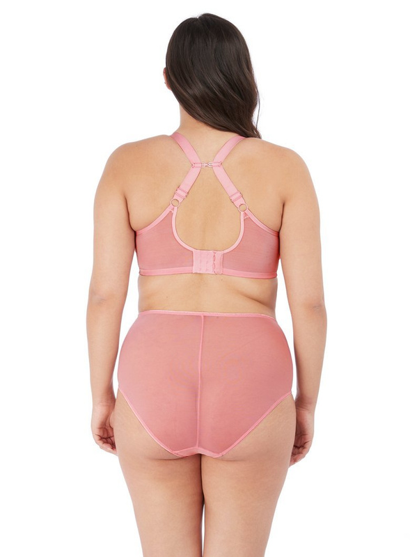 Matilda 8906 Elomi figi rose