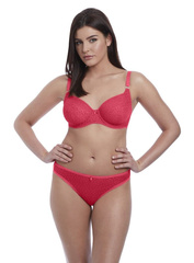 Starlight 5207 Freya brazyliany hibiscus