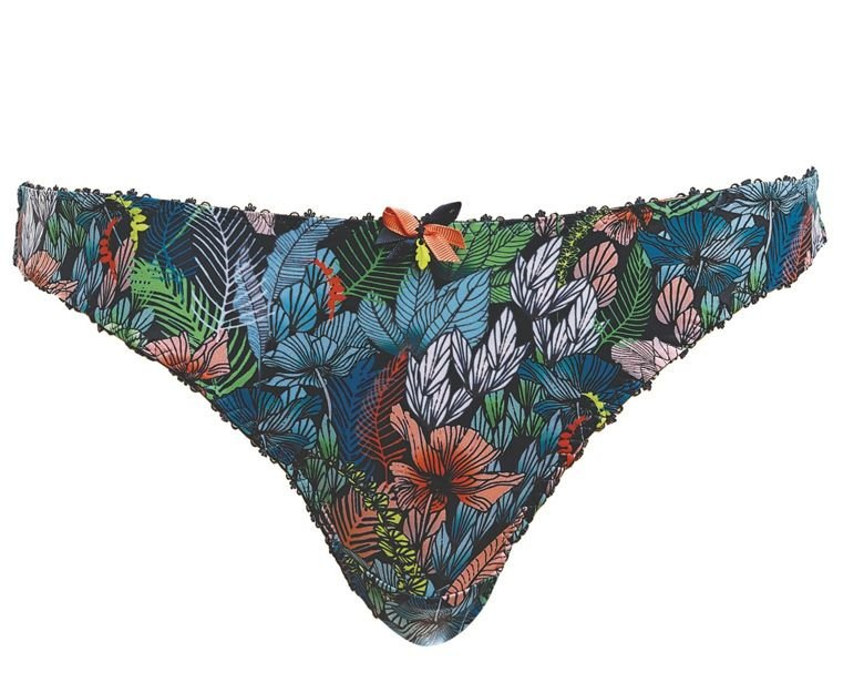 Willow 5077 Freya stringi
