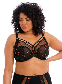 Sachi 4353 Elomi biustonosz motyle