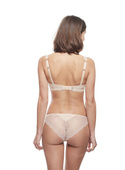 Ardour 7952 Panache figi cieliste