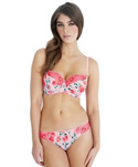 Ellis 7219 Cleo stringi