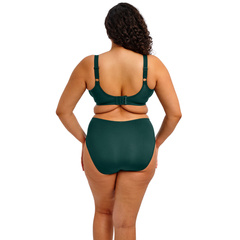 Smooth 4301 Elomi biustonosz miękki emerald