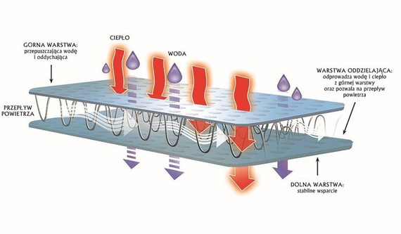 Virginia 17871 Corin biustonosz granatowy